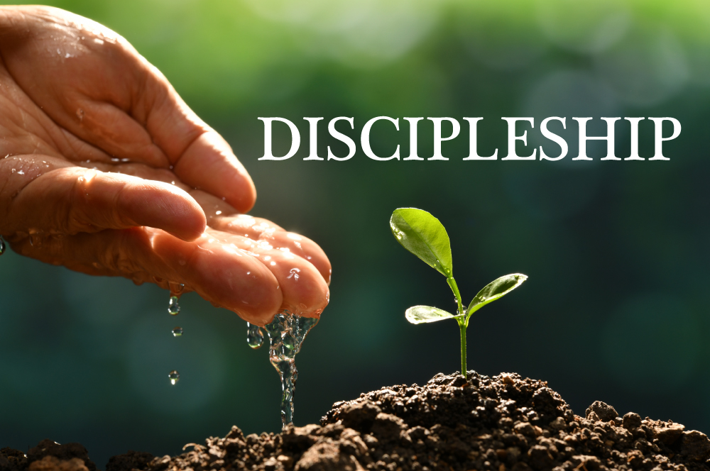 Get Dirty But Shake Off the Dust! | Equipping believers to become ...