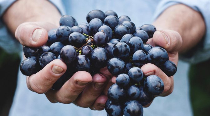 Jesus in the Feast of First Fruits