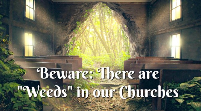 <strong><em>Weed Patrol – Churchy Weeds!</em></strong>